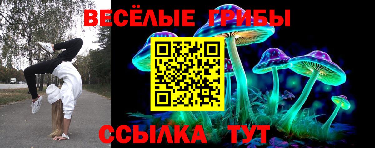 Галлюциногенные грибы мицелий Волжск